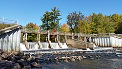 Reedsburg Dam (Michigan)