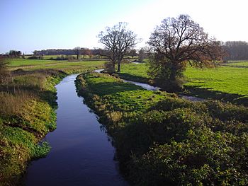 River Bure at Aylsham.JPG