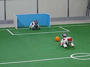 Robocup 2005 Aibos