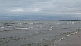 Saginaw Bay from Bay City State Park.jpg