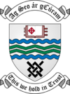 Coat of arms of South Dublin