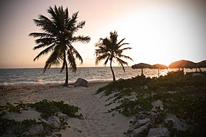 Tropical beach sunset