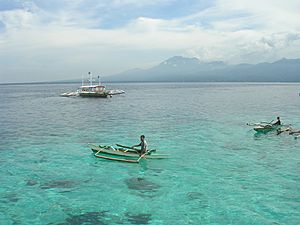 View towards Negros from Cebu