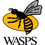 Wasps rugby