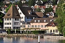 Zürichsee - Küsnacht IMG 2633