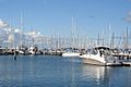 Bay-city-marina-geelong