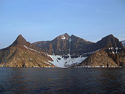 Bishop's mitre Labrador