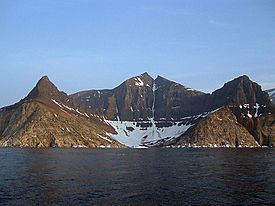 Bishop's mitre Labrador.jpg