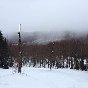 A view of Bolton Valley