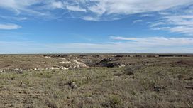 Buffalo Lake Texas Canyon 2009.jpg