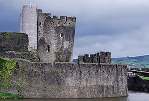 Caerphilly Castle Detail.JPG