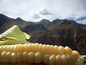 Comida peruana