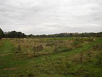 The Cornmill meadows