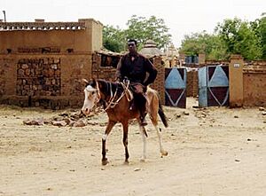 Darfur report - Page 4 Image 1