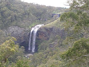 Ebor Falls.JPG