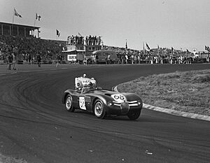 Ecosse and Francorchamps Jaguar C-types Zandvoort 1954 crop