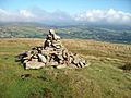 Foel Feddau - geograph.org.uk - 1433497.jpg