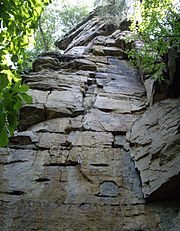 Franklin Gorge.jpg