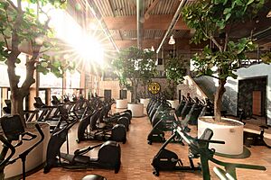 Gold's Gym in Berlin