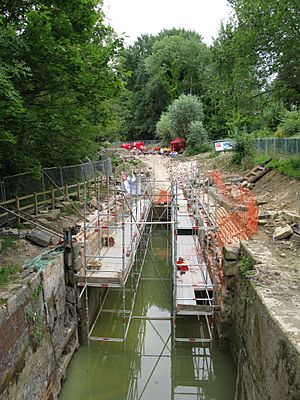 Gough's OrchardThames & Severn canal 2009