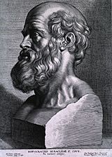 Hippocrates rubens