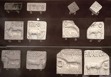 IndusValleySeals