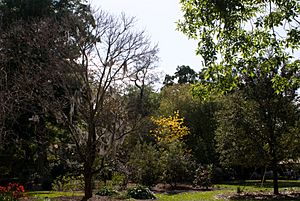 Leubotanicalgardens