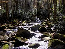 Little-river-three-forks