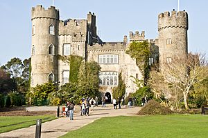 Malahide Castle, March 2011 (2)