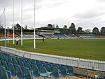 Manuka Oval.JPG