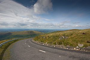 Mt Leinster Road, Carlow-2