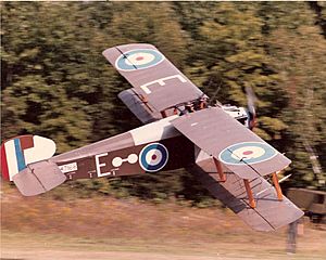 ORA's Sopwith Dolphin in flight