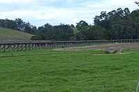 Orbost rail bridge Stevage