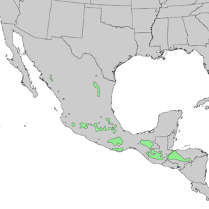 Pinus pseudostrobus range map 1.png