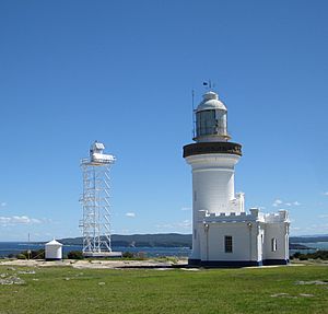 Point Perpendicular Light and skeletal