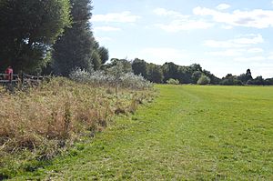 Portholme Meadow 7.jpg