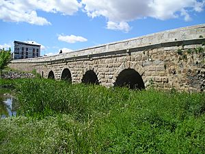 Puente sobre el Albarregas, Mérida.JPG