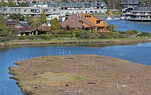 Richardson Bay with Aramburu Island