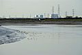 River Parrett near Pawlett