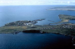 Saint Paul Island Alaska aerial view