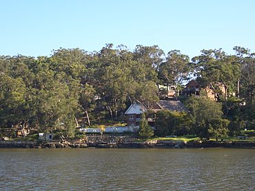 Sandy Point Georges River.JPG