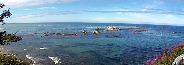 Simpson Reef Panorama