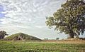 Soulton Long Barrow, an example of the modern barrows