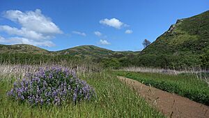 Tennessee-valley trail facing-east