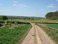 The Arden Way at Windmill Hill - geograph.org.uk - 466721