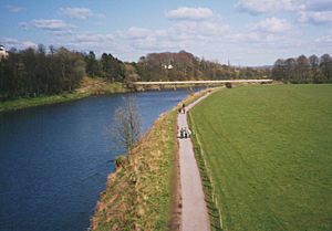 Tramway bridge