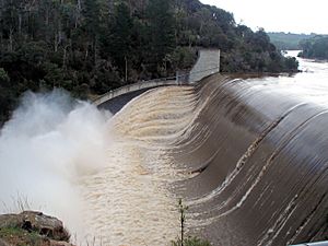 Trevallyn Dam