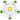 White Rose Badge of York.svg