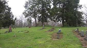 Wilson Mounds at Rising Sun.jpg