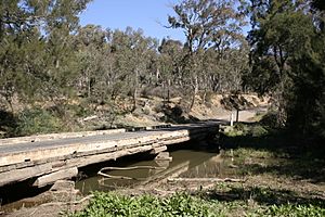 Abercrombie River 2